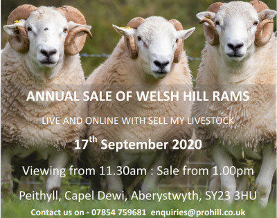 PROHILL ANNUAL SALE OF WELSH HILL RAMS 
