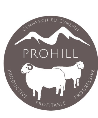 Prohill Sale of Performance Recorded Hill Rams