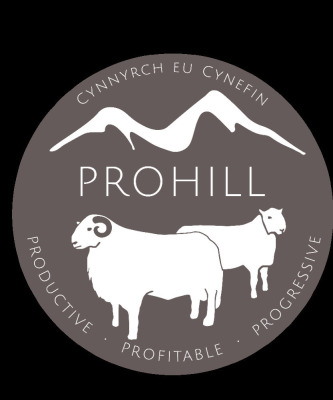Prohill Sale 2022