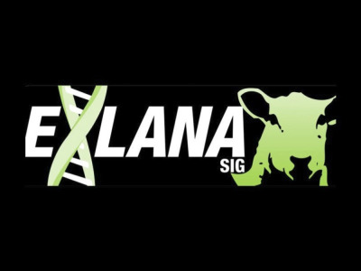Exlana ''Data Driven'' Sale of Elite Rams 
