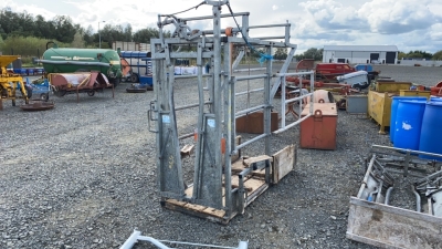 Hoof trimming crush IAE with belly winch + lead in gates