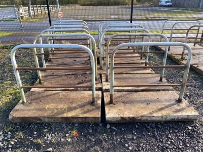 12 calf cubicles