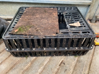 Poultry Crate