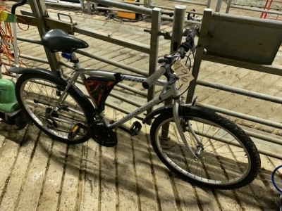 Shooting Star Bike grey
