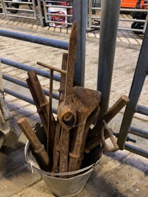 Job lot of chisels