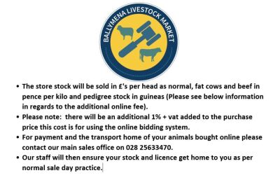 Animal information and Weights Kgs are displayed within the Video Viewing Screen