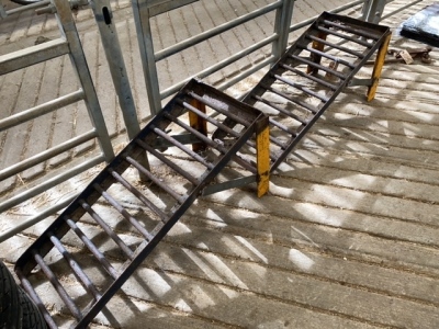 Set of Ramps