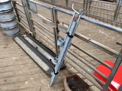 Dosing Stand for Sheep Race