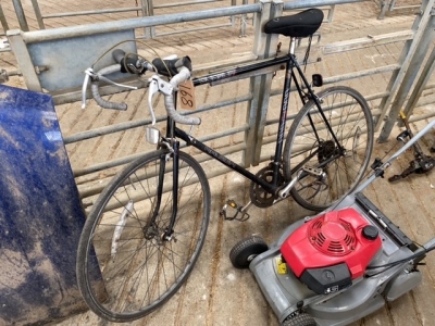 Raleigh Bike