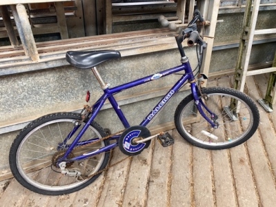 Childs Bike