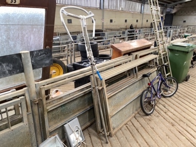 Calving Aid with Ropes