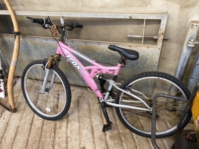 Pink bike