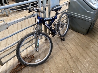 Mountain ridge bike
