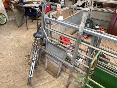 Galvanised sheep race gate