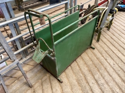 Calf dehorning crate