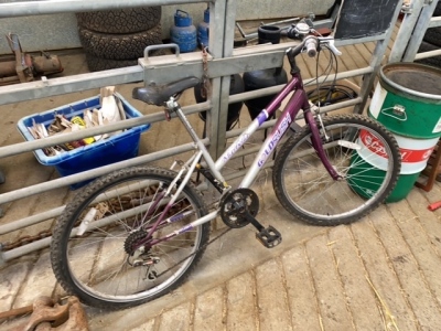 Goldrush bike