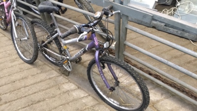 Titan bike