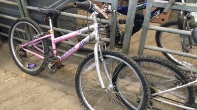 Goldrush bike