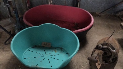Dog beds