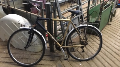 Gold Wilderness Bike