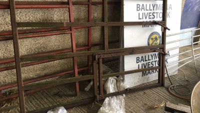 Calving crate