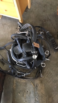 Harness to fit 12-14 hands