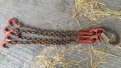 4ft 4 legged brother chain