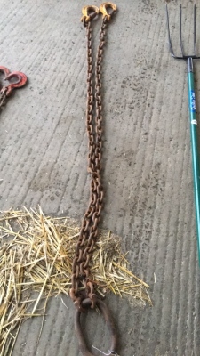 6ft 2 legged chain