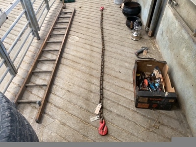 Heavy toe chain with hooks