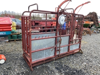 cattle crush and weighbridge with clock