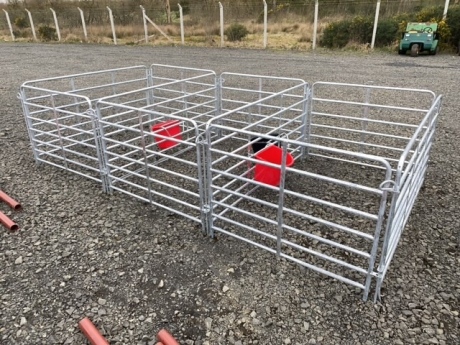 3x 6x4 lambing pens