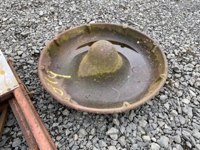 Mexican hat pig trough