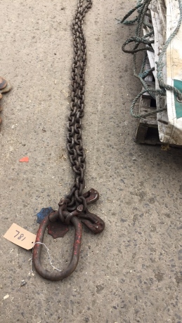 9ft lifting chain
