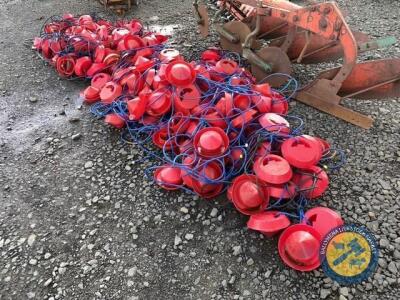 Approx 120 chick feeder trays