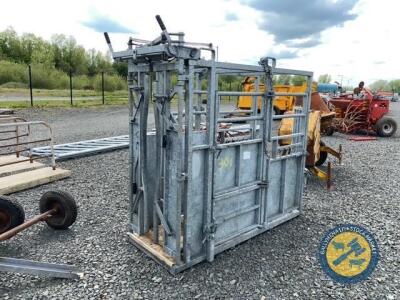 IAW cattle crush, galvanised, 4 door access