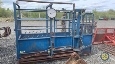 Portable cattle crush weigh crush with clock