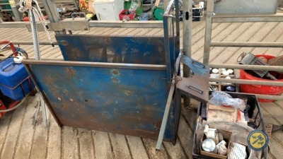 Dehorning calf crush