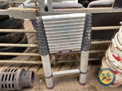 Teletower ladder