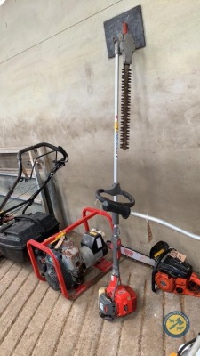 Long reach hedge strimmer x 2