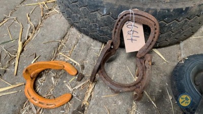 Horse shoe plant pot holder & coat hanger