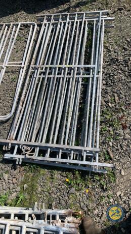 5 x 6ft galvanised hurdles with pins