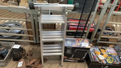 Multipositional ladder