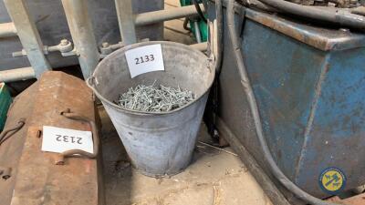 Bucket of nails galvanised