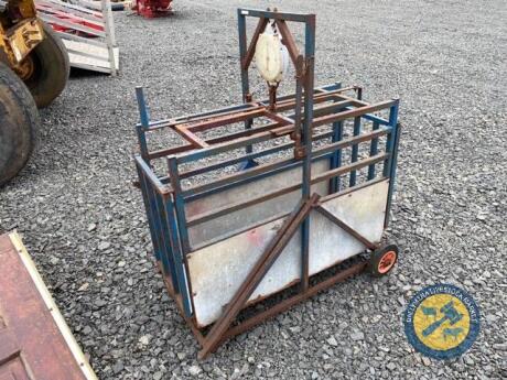 Lamb weighbridge with scales