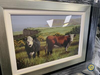 Keith Glasgow canvas print of herefords cattle of fairhead