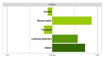 Abermax - Elite Grade