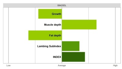 Abermax - Select Grade