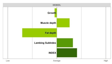 Abermax - Select Grade