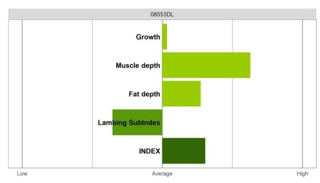 Abermax - Select Grade
