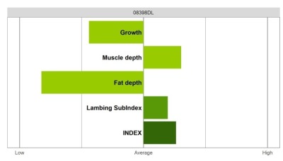 Abermax - Select Grade